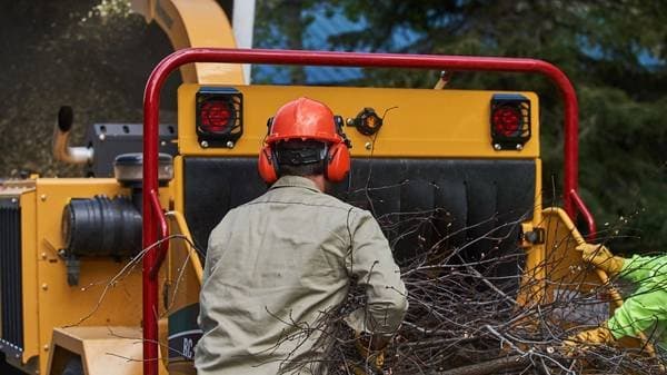 Recent project photo 15 from J C Garden Tree Service.