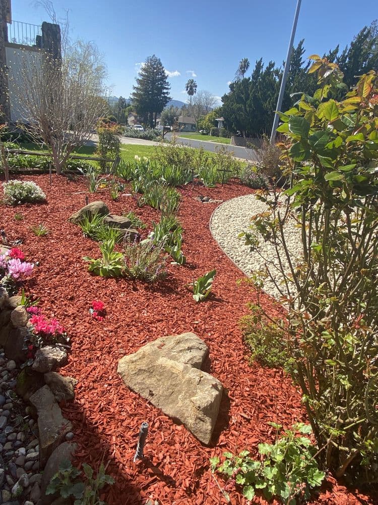 Recent project photo 19 from J C Garden Tree Service.