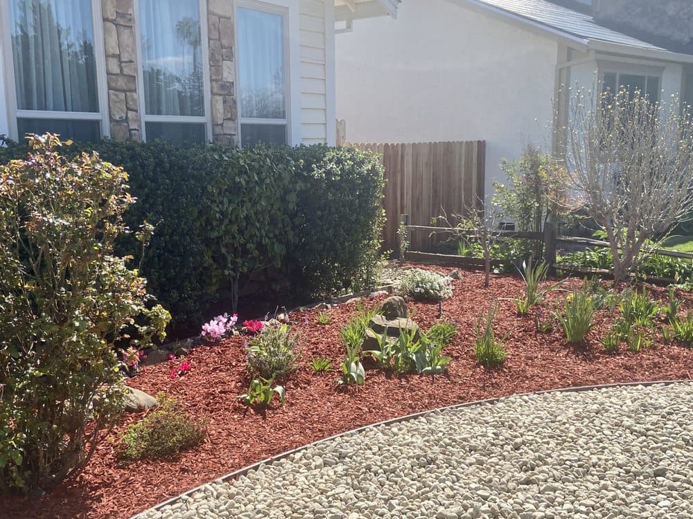 Completed outdoor improvement project by J C Garden Tree Service.