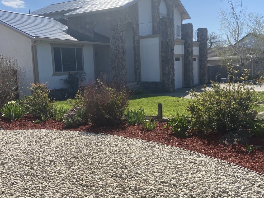 Recent project photo 21 from J C Garden Tree Service.